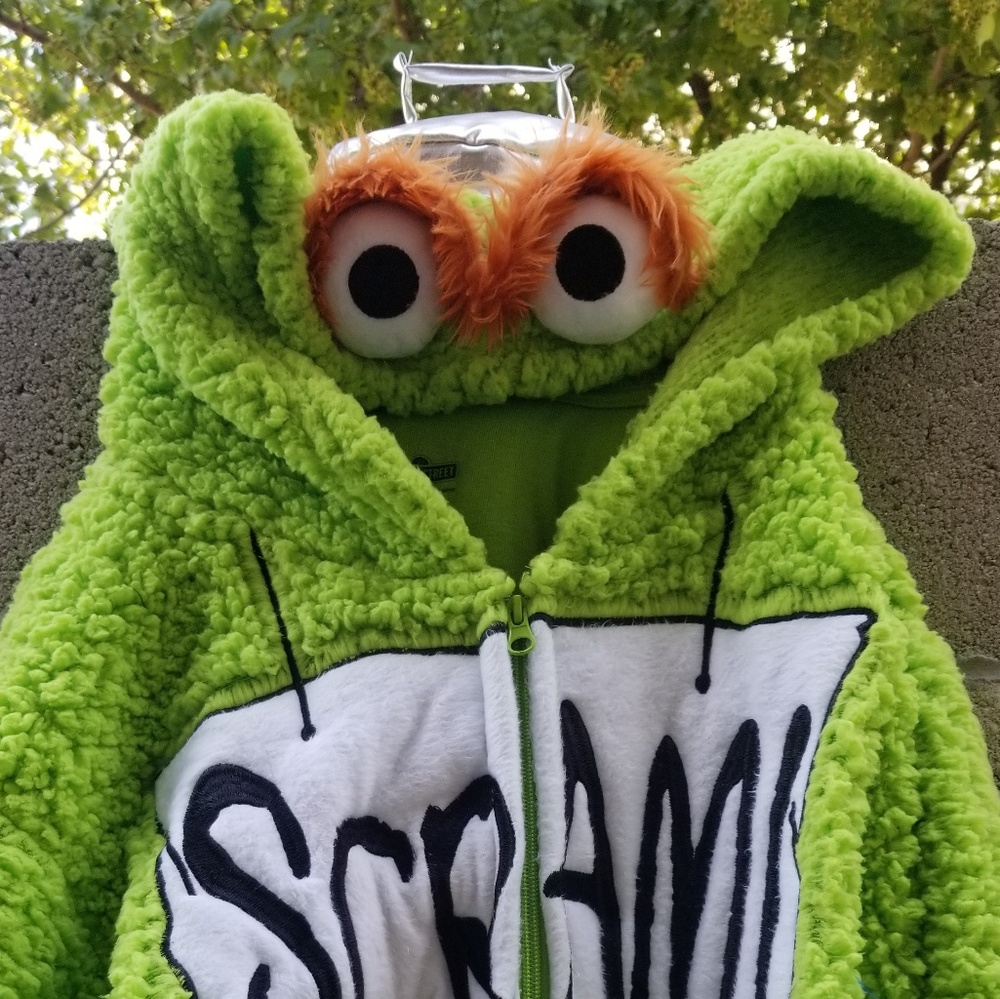 Sesame Street Family costume